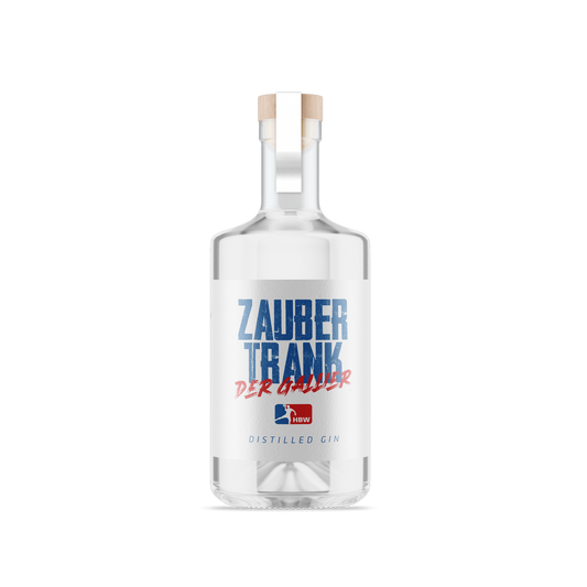 HBW, Der Zaubertrank der Gallier Distilled Gin 0,5L