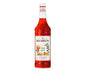 Monin Orange Spritz Sirup 1l alkoholfrei